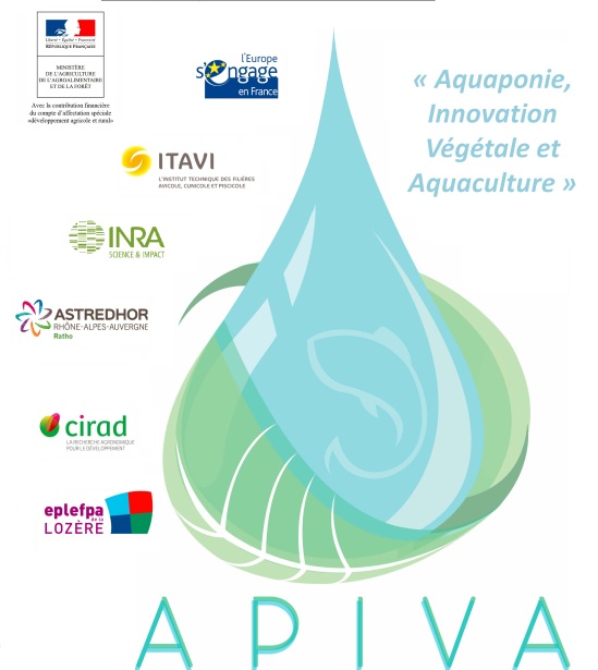 Logo APIVA